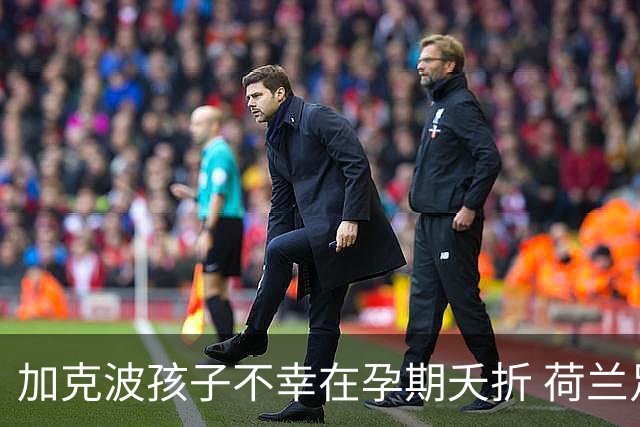 加克波孩子不幸在孕期夭折 荷兰足协：球员愿留队征战