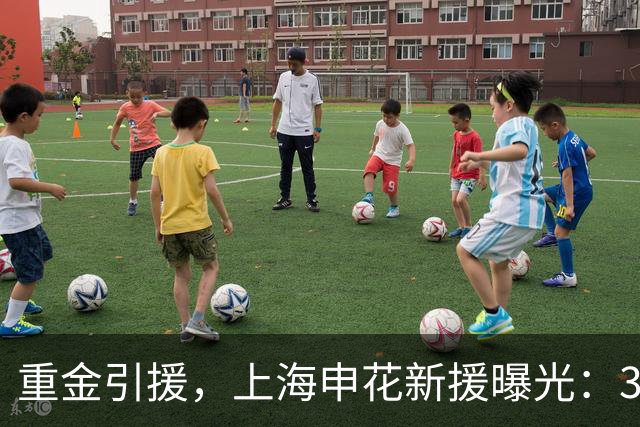 重金引援，上海申花新援曝光：31岁国脚豪门后卫，报价2000万